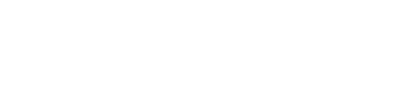 insured.io logo